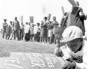Young boy with poster at a protest